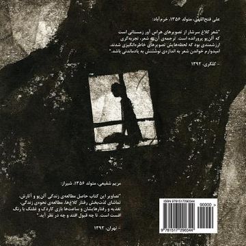 portada The Raven (A Persian Translation)