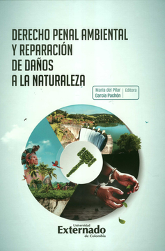 portada DERECHO PENAL AMBIENTAL Y REPARACION DE DAÑOS A LA NATURALEZA (in Spanish)
