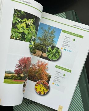 Paisajismo y Jardines Resistentes al Fuego