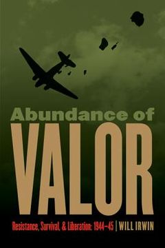 portada abundance of valor (in English)