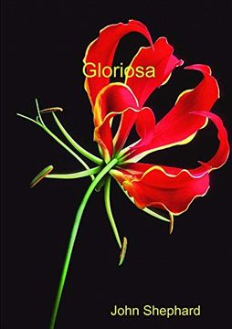 portada Gloriosa (in English)