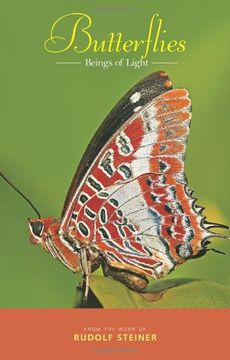 portada Butterflies: Beings of Light (in English)