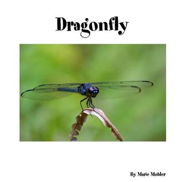 portada Dragonfly (en Inglés)