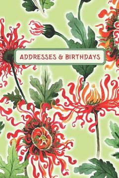 portada Addresses & Birthdays: Watercolor Chrysanthemum (en Inglés)