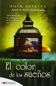 portada El Color de los Sueños (in Spanish)