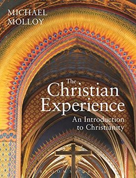 portada The Christian Experience: An Introduction to Christianity (en Inglés)