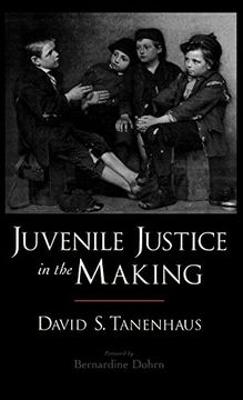 portada Juvenile Justice in the Making (Studies in Crime and Public Policy) (in English)