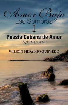 portada Amor Bajo las Sombras i: Poesia Cubana de Amor, Siglo xx y xxi (in Spanish)