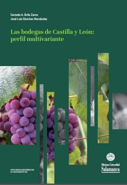 portada Las Bodegas de Castilla y León: Perfil Multivariante (Estudios Históricos & Geográficos, 169)