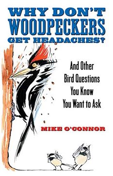 portada Why Don't Woodpeckers get Headaches? And Other Bird Questions you Know you Want to ask (en Inglés)