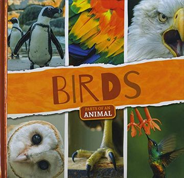 portada Birds (Parts of an Animal) (en Inglés)