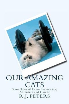 portada Our Amazing Cats: Short Tales of Feline Inspiration, Adventure and Humor (en Inglés)
