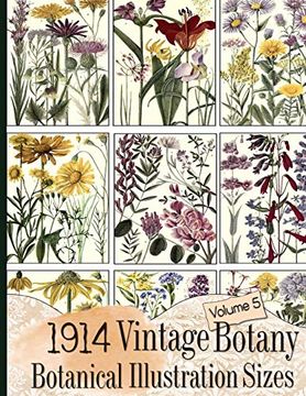 portada 1914 Vintage Botany Botanical Illustration Sizes: 5 (Floral Ephemera Series) (en Inglés)