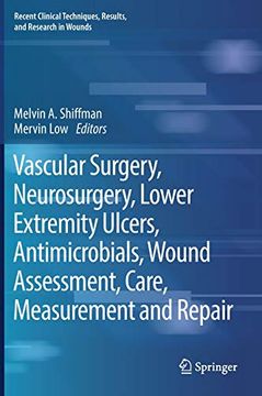 portada Vascular Surgery, Neurosurgery, Lower Extremity Ulcers, Antimicrobials, Wound Assessment, Care, Measurement and Repair (Recent Clinical Techniques, Results, and Research in Wounds) (en Inglés)