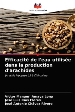 portada Efficacité de l'eau utilisée dans la production d'arachides (in French)