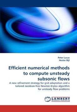 portada efficient numerical methods to compute unsteady subsonic flows (en Inglés)