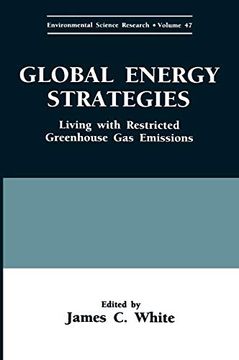 portada Global Energy Strategies: Living With Restricted Greenhouse gas Emissions (Environmental Science Research) (en Inglés)