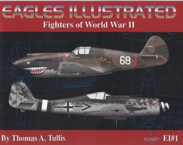 portada Fighters of World war ii (Eagles Illustrated) (en Inglés)