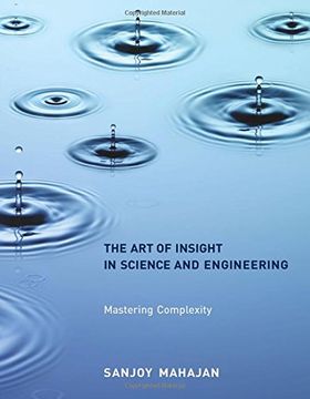portada The Art of Insight in Science and Engineering: Mastering Complexity 