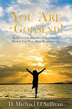 portada You are a Godsend! Rediscover the Magnificent God-Given Mission you Were Born Remembering (en Inglés)