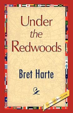 portada under the redwoods (in English)