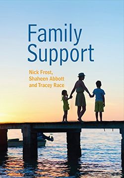 portada Family Support: Prevention, Early Intervention and Early Help (Polity Social Work in Theory and Practise) (in English)