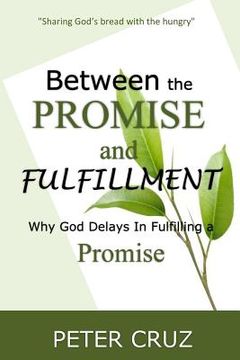 portada Between the Promise and Fulfillment: Why God Delays in Fullfilling a Promise (in English)
