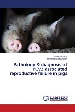 portada Pathology & diagnosis of PCV2 associated reproductive failure in pigs (en Inglés)
