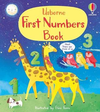portada First Numbers Book (First Concepts) (en Inglés)
