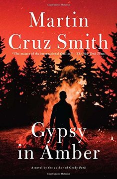 portada Gypsy in Amber (Roman Grey Novels) (in English)