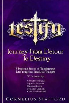 portada Testify: Journey From Detour To Destiny (en Inglés)