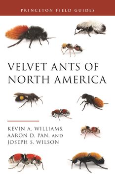 portada Velvet Ants of North America (Princeton Field Guides, 145) (in English)