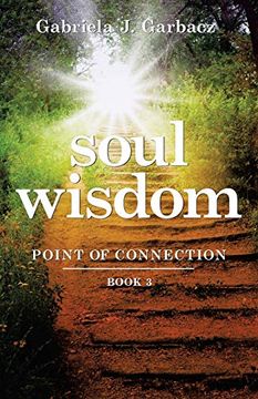 portada Soul Wisdom: Point of Connection Book 3 (in English)