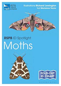 portada Rspb id Spotlight - Moths (en Inglés)