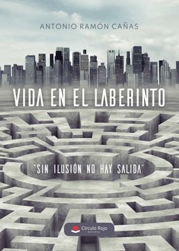 portada Vida en el Laberinto (in Spanish)
