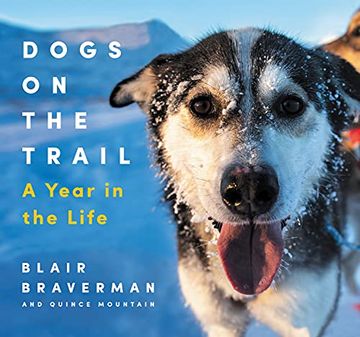 portada Dogs on the Trail: A Year in the Life (en Inglés)