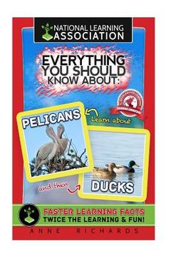 portada Everything You Should Know About: Pelicans and Ducks (en Inglés)