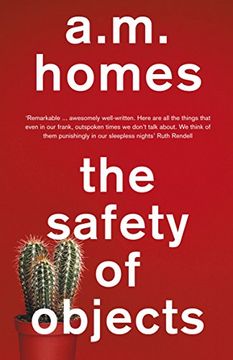 portada The Safety of Objects