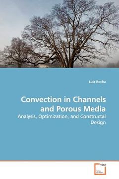 portada convection in channels and porous media (en Inglés)