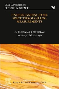 portada Understanding Pore Space Through log Measurements (Volume 76) (Developments in Petroleum Science, Volume 76) (en Inglés)