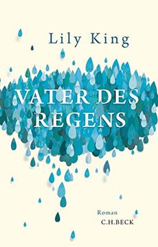 portada Vater des Regens: Roman (in German)