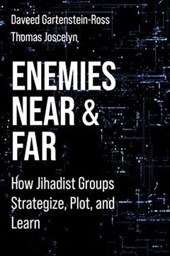 portada Enemies Near and Far: How Jihadist Groups Strategize, Plot, and Learn (Columbia Studies in Terrorism and Irregular Warfare) (in English)