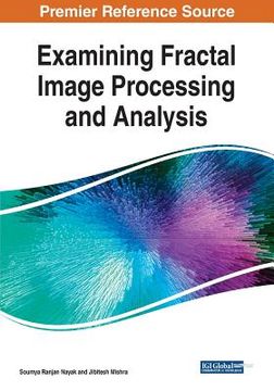 portada Examining Fractal Image Processing and Analysis (en Inglés)