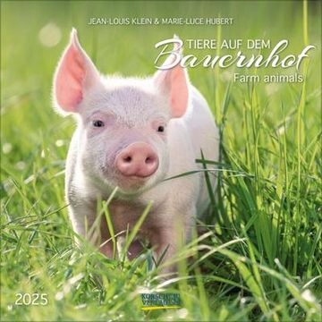 portada Tiere auf dem Bauernhof 2025: Broschürenkalender mit Ferienterminen. Format: 30 x 30 cm