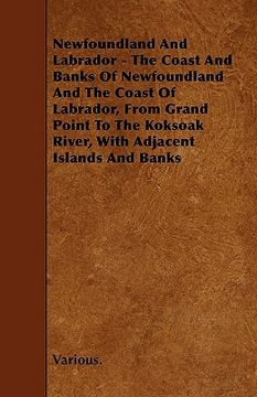 portada newfoundland and labrador - the coast and banks of newfoundland and the coast of labrador, from grand point to the koksoak river, with adjacent island (en Inglés)