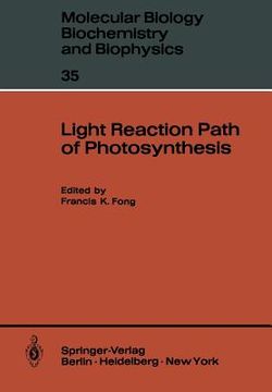 portada light reaction path of photosynthesis (in English)