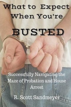 portada What To Expect When You're Busted: Successfully Navigating the Maze of Probation and House Arrest (in English)