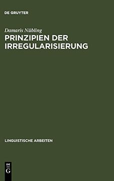 portada Prinzipien der Irregularisierung (en Alemán)