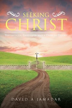portada Seeking Christ: Testimonies, Thoughts, and a Dash of Dogma (en Inglés)