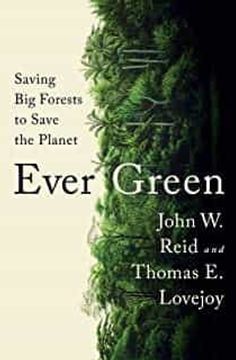 portada Ever Green: Saving big Forests to Save the Planet (en Inglés)